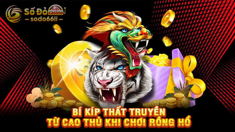 bí kíp thất truyền từ cao thủ khi chơi rồng hổ