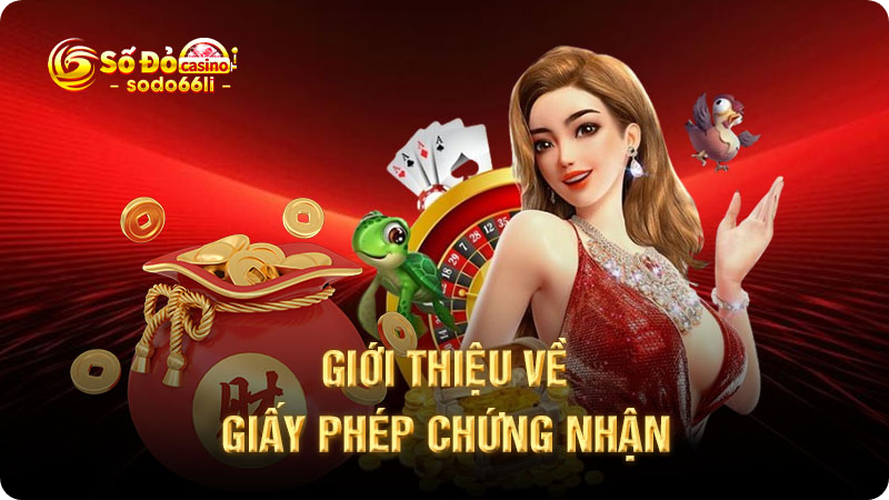 giới thiệu về giáy phép chứng nhận