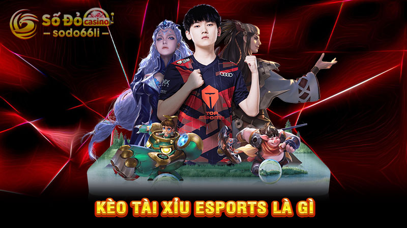 kèo tài xỉu esports là gì