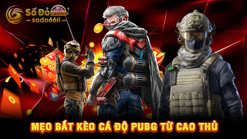 mẹo bắt kèo cá độ pubg từ cao thủ