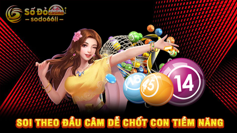 soi theo đầu câm dễ chốt con tiềm năng